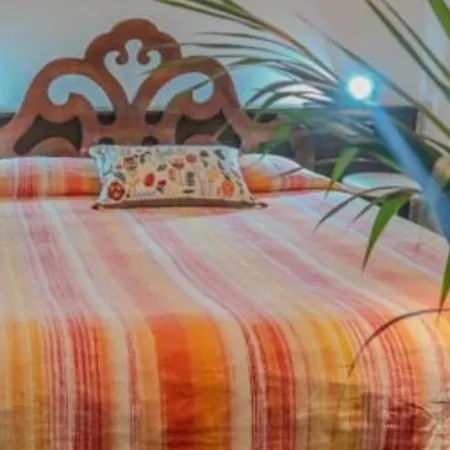 Hotel Bridge 3*